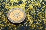 Le Cardano : la blockchain open source
