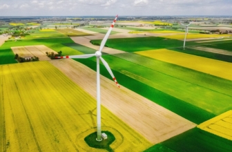 Tout savoir sur l’investissement écologique : la “finance verte”, c’est quoi ?